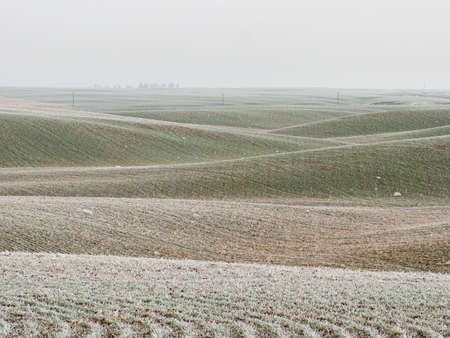 Palouse Hills Frosty Farm Land Washington USA Winter Morning Haze