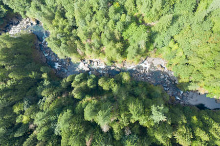 Aerial View From Above Looking Straight Down on River in Old Growth Treesの写真素材