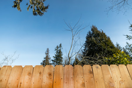 Wood Pickets on Cedar Fence With Leveling String Above and Blue Sky Title Space For Fencing Building Companyの写真素材