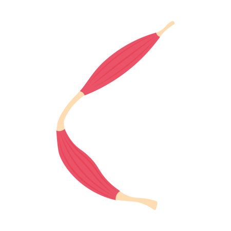 Section of muscle. Human Muscle flat symbol.のイラスト素材