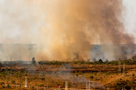 Wild Fires Burning out of control in the City Limits on the Northwest Side of Brasilia know as...