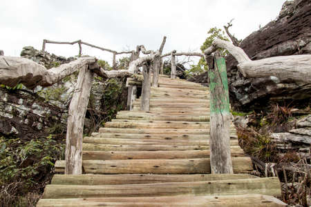 Rustic Wooden Stairs or walkway on the trail at Chapada Veadeiros National Park, Brazilの写真素材