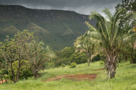 Beautiful view of the landscapes you'll see in Chapda Veadeiros Brazilの写真素材