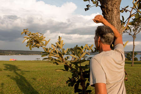 Senior man at Parque Das GarÃ§as, in Brasilia, leaning against a tree while looking over Lake...