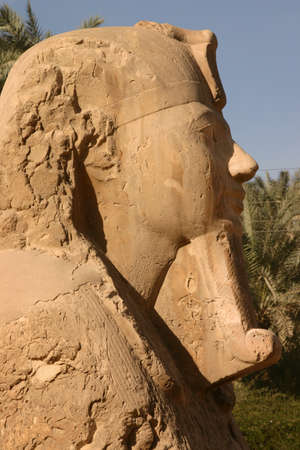 Close up Side View of The Sphinx of Memphis at the open air Museum near Cairo, Egypt