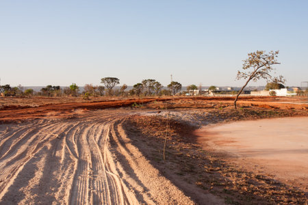 View of the Land, brush, trees and vegetation that was clear out in  in Burle Marx Park in the Northwest section of Brasilia, known as Noroeste to help reduce fire hazards in theの写真素材