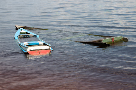 Small old wooden boats filled with water found on the shore of the Rio Negro River in Airao, Brazilの写真素材
