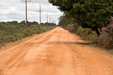The long stretch of the Transpantaneira Highway near the city of Pocone, in Brazilの写真素材