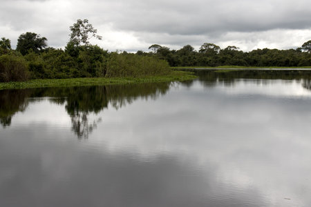 The River Rio Claro in the Pantanal of Brazil, near the city of Poconeの写真素材