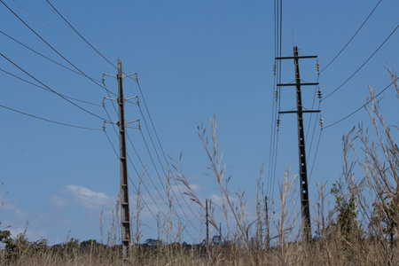 High Voltage Power lines stretching across the landscape of Brazilの写真素材