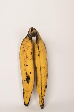 Two Ripe Plantain bananas on a white backgroundの写真素材