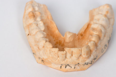 Close up of An impression or plaster mold of a manâ€™s lower teeth