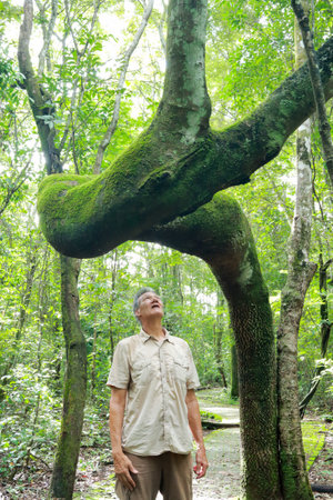 Biologist inspecting the crooked tree trunk of the Anigic Tree also known as the Floss silk that is found throughout the Savannas or Cerrados of Brazilの写真素材