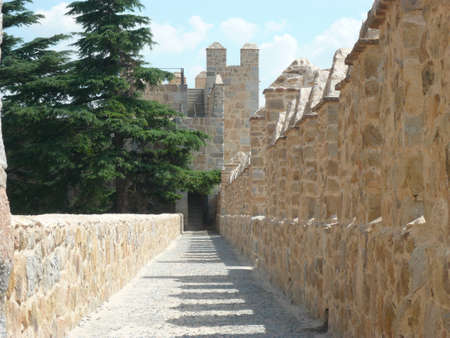 view of the ancient exterior wall of the town of avila in spainの写真素材