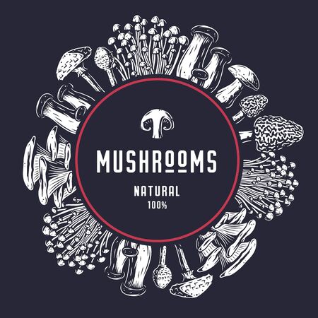 Autumn forest mushroom picking, vegan menu frameのイラスト素材