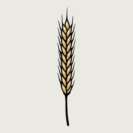 Colored barley spike for art brush bar menuのイラスト素材