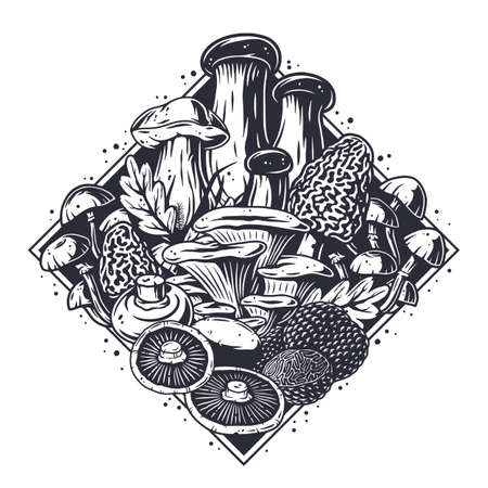 Mushroom picking. Nature mushrooms fungus or fungiのイラスト素材