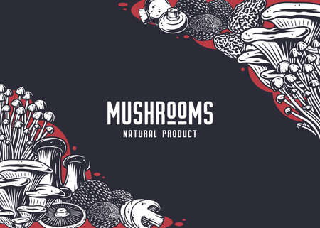 Mushroom picking. Nature mushrooms fungus or fungi illustration design.のイラスト素材