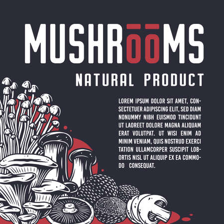 Mushroom picking. Nature mushrooms fungus or fungi illustration design.のイラスト素材