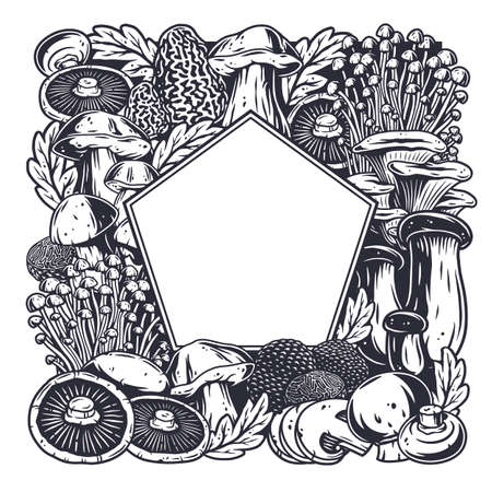 Mushroom picking. Nature mushrooms fungus or fungi illustration.のイラスト素材