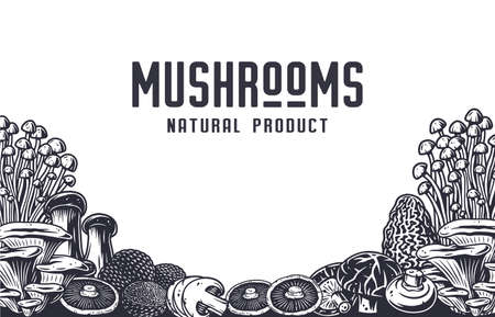 Mushroom picking. Nature mushrooms fungus or fungi illustration.のイラスト素材