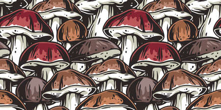 Mushroom picking porcini, cep or boletus fungi illustration.のイラスト素材