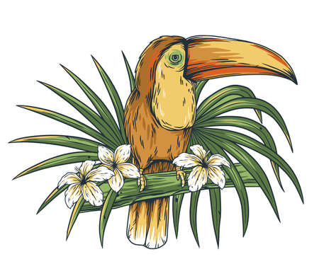 Exotic toucan or bird. Tropical nature wildlifeのイラスト素材