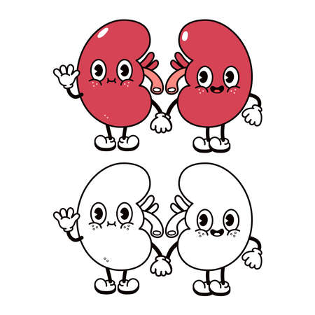 Cute funny kidneys waving hand character. Vector hand drawn traditional cartoon vintage, retro, kawaii character illustration icon. Happy kidneys outline cartoon illustration for coloring bookのイラスト素材