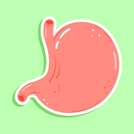Cute sticker stomach character. Vector hand drawn cartoon kawaii character illustration icon. Isolated on green background. Happy sticker stomach character conceptのイラスト素材