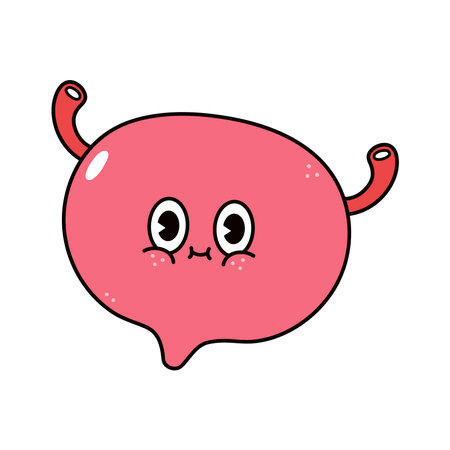 Cute funny Bladder character. Vector hand drawn traditional cartoon vintage, retro kawaii character illustration icon. Isolated white background. Bladder character conceptのイラスト素材