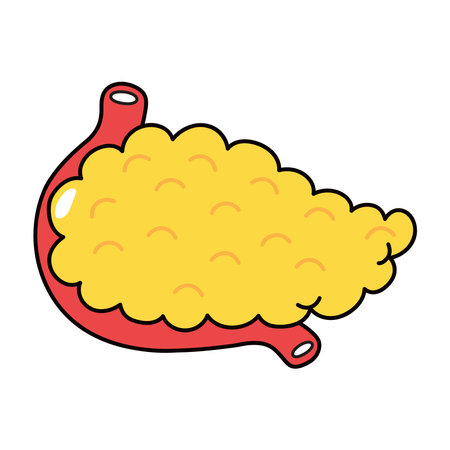 Pancreas character. Vector hand drawn traditional cartoon vintage, retro, kawaii character illustration icon. Isolated on white background. Pancreas character conceptのイラスト素材