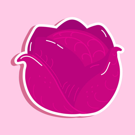 Cute funny red cabbage sticker character. Vector hand drawn cartoon kawaii character illustration icon. Isolated on pink background. Happy red cabbage character conceptのイラスト素材