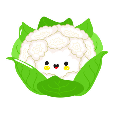 Cute funny Cauliflower character. Vector hand drawn cartoon kawaii character illustration icon. Isolated on white background. Happy Cauliflower character conceptのイラスト素材