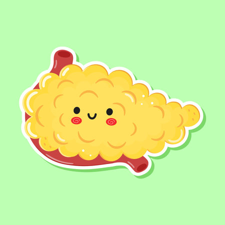 Cute funny sticker Pancreas character. Vector hand drawn cartoon kawaii character illustration icon. Isolated on green background. Happy Pancreas character conceptのイラスト素材
