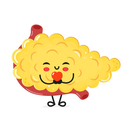 Cute funny Pancreas holding a heart in hands character. Vector hand drawn cartoon kawaii character illustration icon. Isolated on white background. Happy Pancreas in love character conceptのイラスト素材