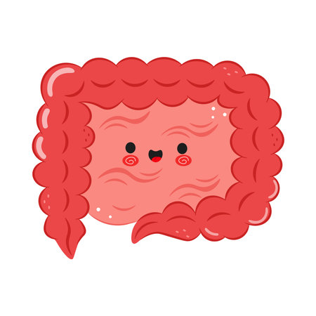 Cute cartoon Intestine with cheerful expression on white backgroundのイラスト素材