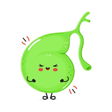 Gallbladder laughs character. Vector hand drawn cartoon kawaii character illustration icon. Isolated on white background. Gallbladder character conceptのイラスト素材