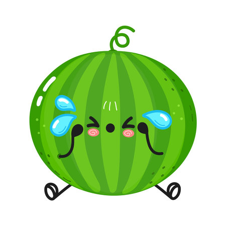 A cute cartoon watermelon with a sad face, crying with tears, suitable for children s illustrations and playful designs.のイラスト素材