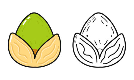 Pistachio nut illustration set showing a green pistachio in its shell and a black and white outline versionのイラスト素材
