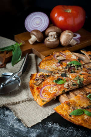 Pizza with mushrooms, red onion and tomato in rustic styleの写真素材