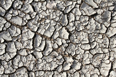 Dry grey cracked earth texture