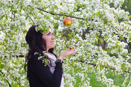 Young woman catching an apple against the backdrop of flowering treesの写真素材