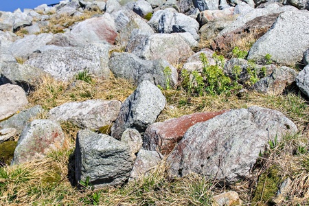 Big stones on the mountain Brocken in national park Harz, Germany