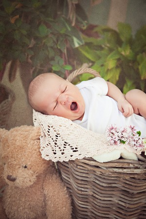 Baby sleeping in the basket with his teddy bearの写真素材