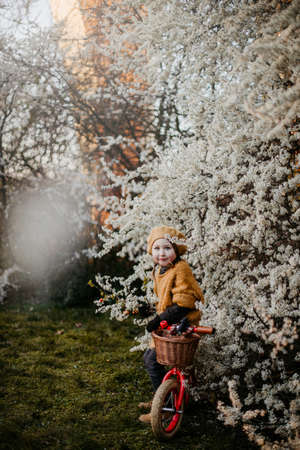 Little girl riding a red bike in the park in early springの写真素材