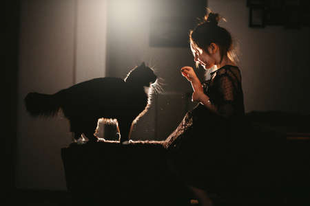 Little girl with black cat at home, back lightの写真素材