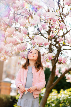 Portrait of a cute cheerful girl in a gray dress wearing rosa jacket staying in spring in a park under a flowering pink magnolia tree.の写真素材