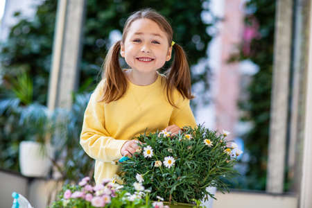 Little girl in yellow sweatshirt caring for balcony flowers, pruning with pruning shears.の写真素材