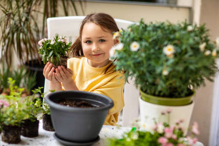 Little girl planting flowers on the balcony, caring for plantsの写真素材