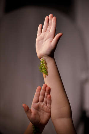 Ecology and against vaccination concept, close-up of hands of a little girl with fern sprigs pasted with plasters on arms.の写真素材